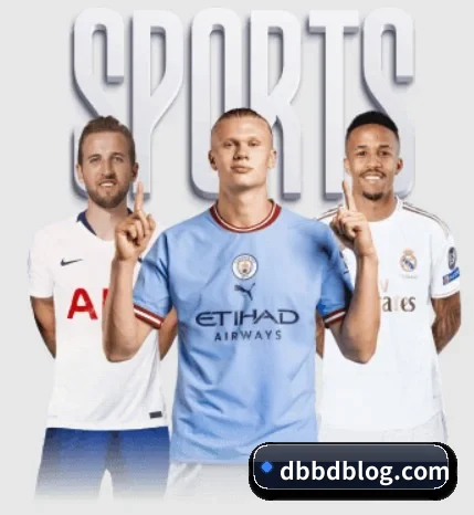 平台简介 - 体育资讯内容服务